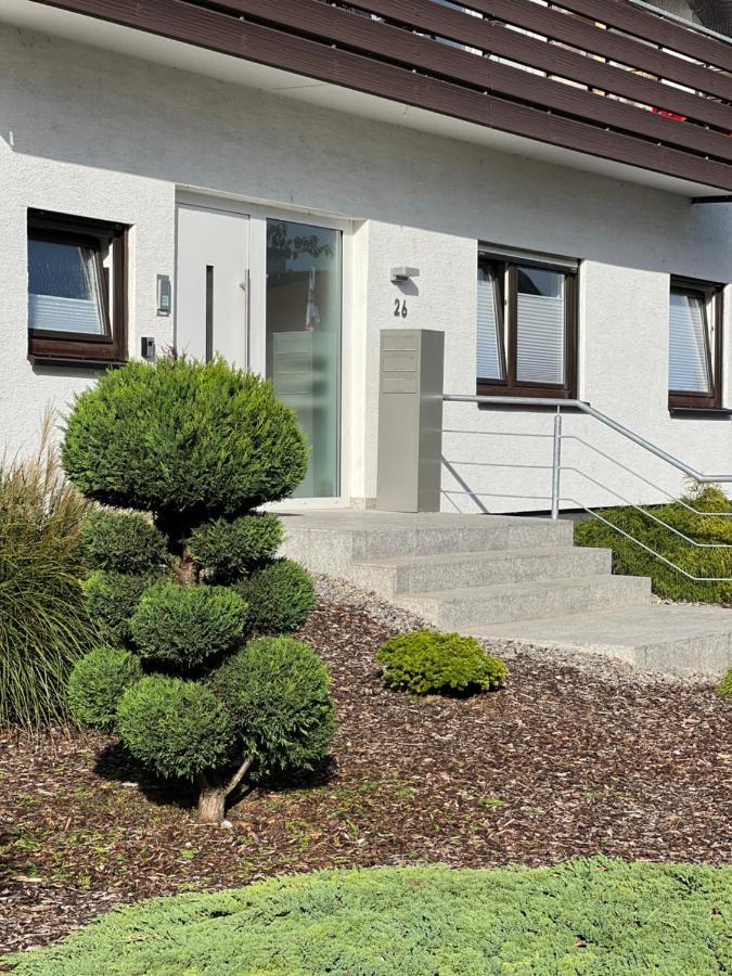 Xxl Apartment Sinsheim Bagian luar foto